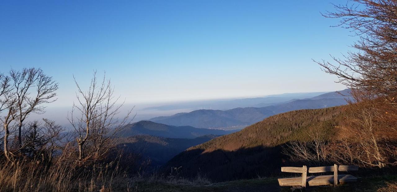 Gasthaus Sternen Post Oberried  Εξωτερικό φωτογραφία