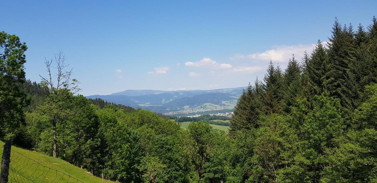 Gasthaus Sternen Post Oberried  Εξωτερικό φωτογραφία