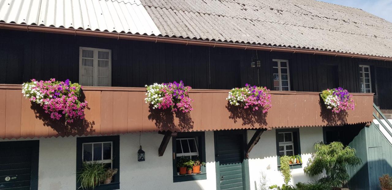 Gasthaus Sternen Post Oberried  Εξωτερικό φωτογραφία