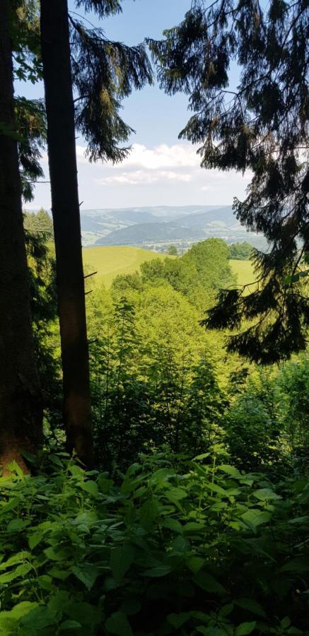 Gasthaus Sternen Post Oberried  Εξωτερικό φωτογραφία
