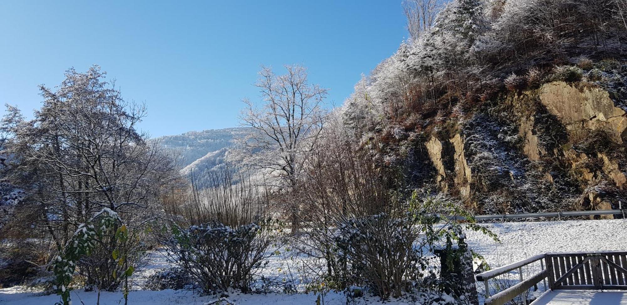 Gasthaus Sternen Post Oberried  Εξωτερικό φωτογραφία